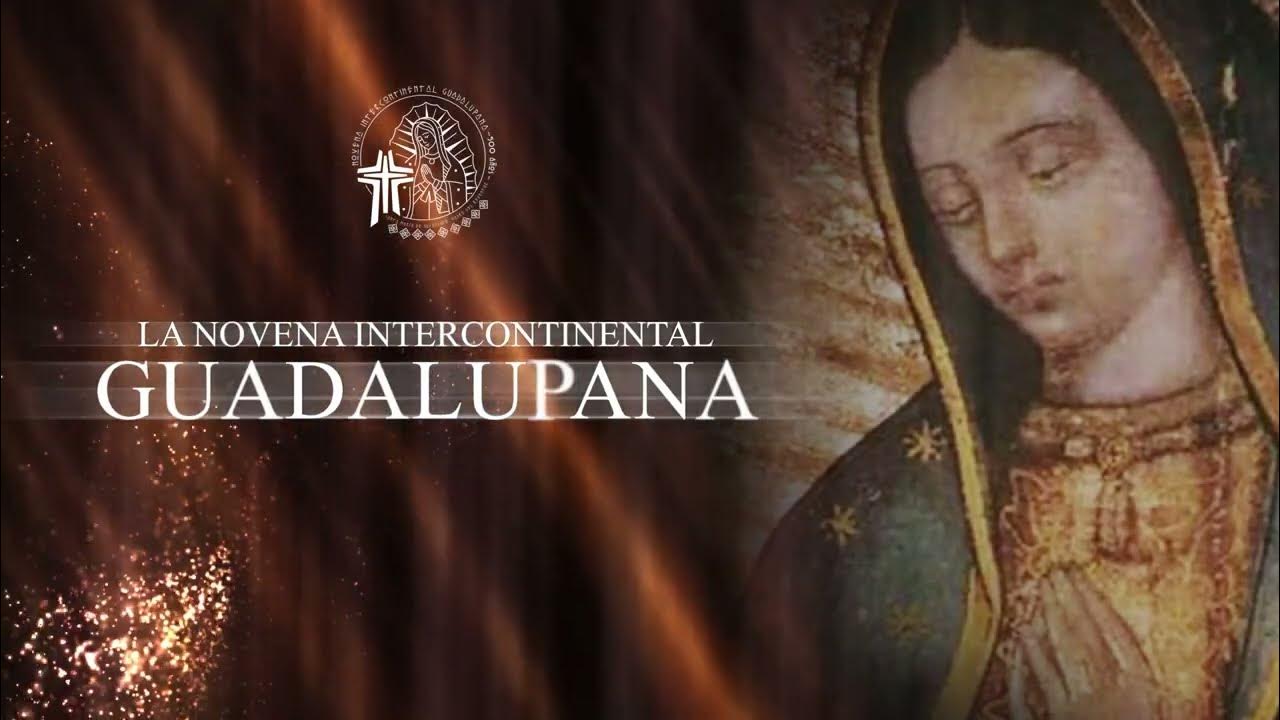 Imagen de referencia a la dimension